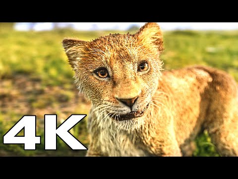 MUFASA: THE LION KING All Clips 4K (ULTRA HD)