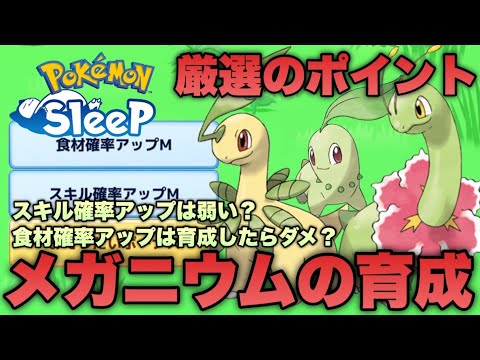 最優先に厳選したい最強ポケモン！メガニウムの厳選基準ついてきのみ/食材/スキルの視点から考える【ポケモンスリープ/安心院幽】