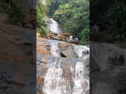 horanadu sringeri road waterfalls nature.        #sringeri #chikmagalur #nature #waterfall