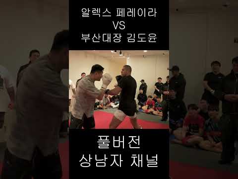 부산대장 김도윤 VS UFC 챔피언 풀스파링..