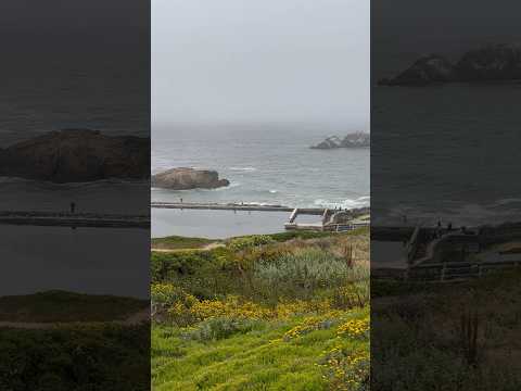 The Sutro Baths in Lands End, San Francisco, were a public swimming pool complex in 1894!