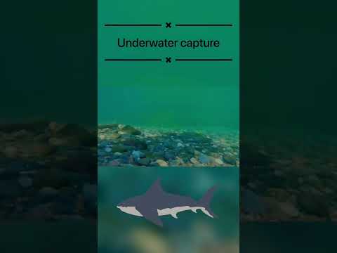 Underwater capture❤️#viral #viralvlogs #mynewvlog #vlog #youtube #youtubeshorts #water