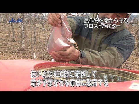 農作物を霜から守るフロストバスター（字幕あり）