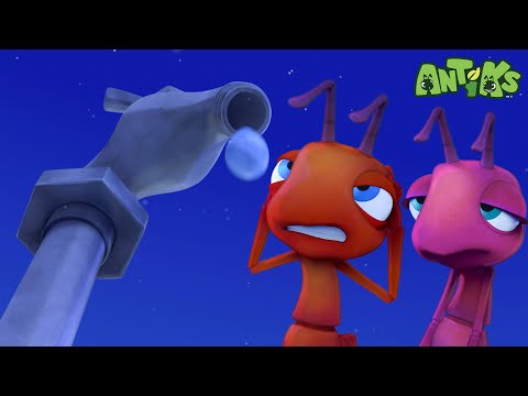 Sleepy Splash! | Antiks 🐜 | Funny Cartoons for Kids