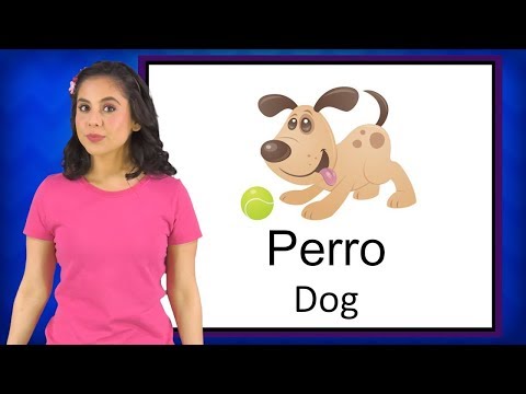 Learning Spanish: Dogs