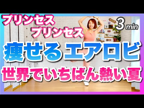 【 プリンセス プリンセス / 世界でいちばん熱い夏 】痩せるエアロビクスダンスで楽しくダイエット