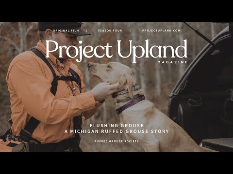 Flushing Grouse - Ruffed Grouse Hunting Michigan - A Project Upland Original Film