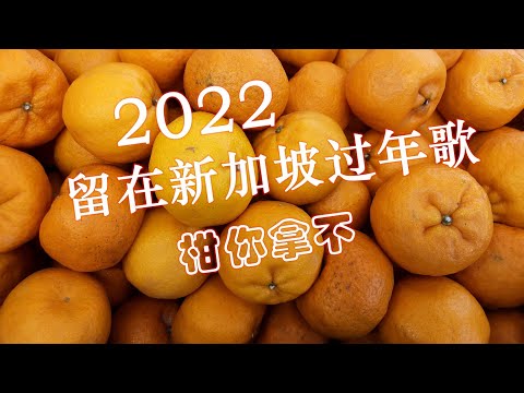 2022留在新加坡过年歌《我买不到票》你是不是也一样留在新加坡过年呢？