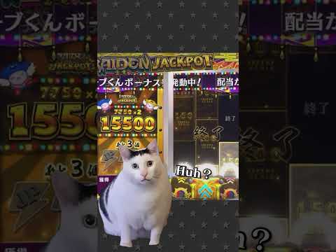 【猫ミーム】とあるメダルゲーマーのコナステ実話 #shorts