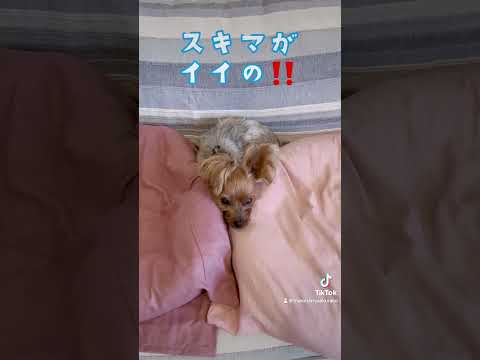 俺、いじけ中🐶