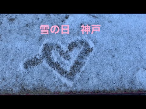 雪の神戸　神戸ランチ　神戸グルメ