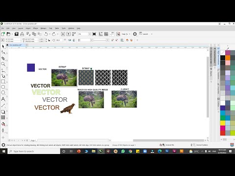 Coreldraw 2019 basic tutorial tamil | Bitmaps | Tracing | Bitmap mask |