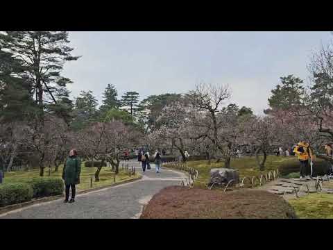 Kenroku-en Gardens 4