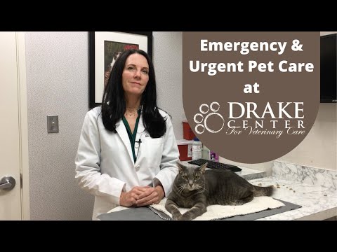 Emergency and Urgent Pet Care at The Drake Center