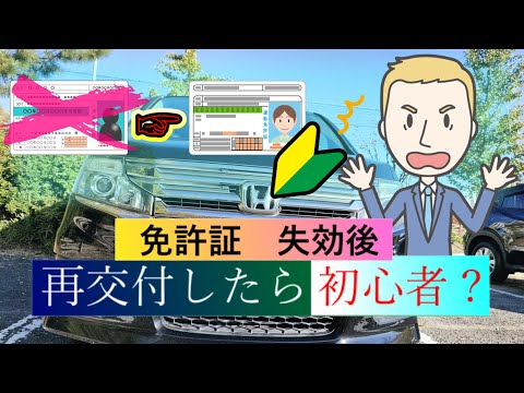 運転免許証 失効 再交付したら初心者？若葉マーク必要 ? 詳しく解説します！