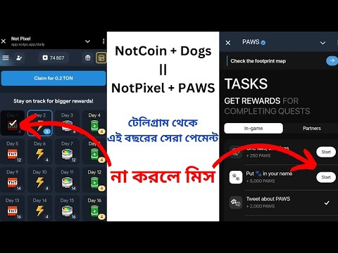 NotPixel + PAWS থেকে বিগ পেমেন্ট কামিং, কাজ করুন ধুমসে✌️ ATC