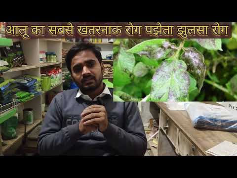 आलू की खेती में सबसे अधिक बचाव करने की जानकारी #agriculture #किसान #trending #वायरल #आलू में रोग #