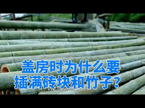 为什么盖房时要插满“砖块”和“竹子”，有啥妙用？