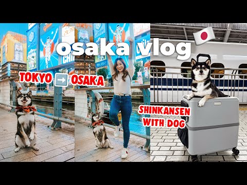 First Day in Osaka 🇯🇵 Took my dog on the Shinkansen 🚅 Dotonbori, Shinsaibashi | Japan Travel Vlog