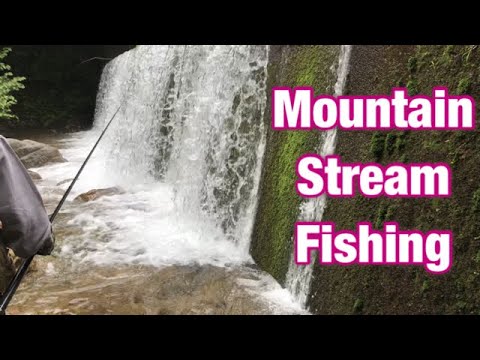 Hidden Japan  24   River Fishing    片貝川 釣り