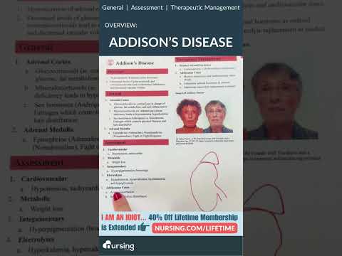 Addison's Disease Overview for Nursing Students