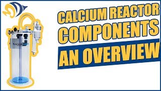 Calcium Reactor Components - An Overview