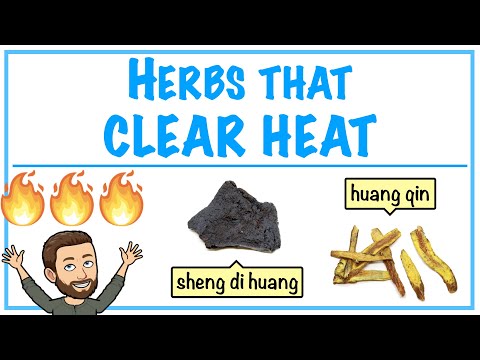 Herbs that Clear Heat - Introduction to Chinese Herbology in TCM