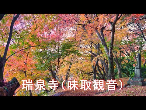 【瑞泉寺（味取観音堂）】4K EOS R7