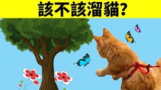 該不該遛貓？我家貓適合帶出門嗎？