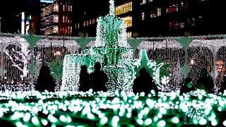 札幌に冬のきらめき　ホワイトイルミネーション・ミュンヘンクリスマス市が開幕