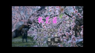 鄧紫棋 - 桃花諾 KTV