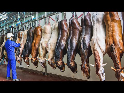 Millions Horses Farming For Meat in China Farms - Horse Harvesting and Processing Modern Technology