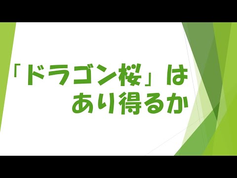 「ドラゴン桜」現実的か！？