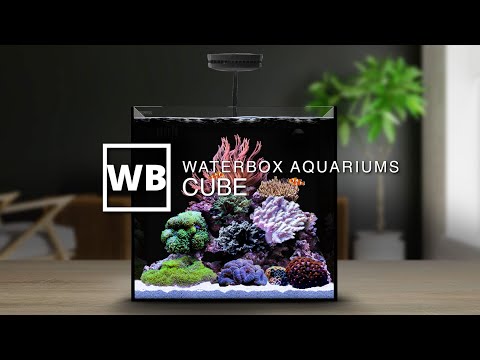 Waterbox Aquariums CUBE Overview