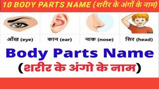 10 Body Parts Name in Hindi and English With Picture, शरीर के अंग, Name of Body Parts, Sarir ke Ang