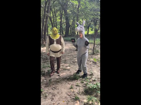 Shrek & Donkey Forever