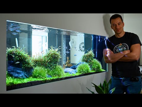 400L IN-WALL ROOM DIVIDER AQUARIUM!!!