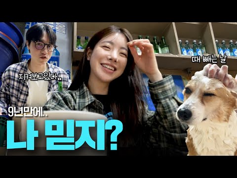 [VLOG] 요즘 우리 가족은요~? (개육아 난이도 상 웰시코기..🐶)