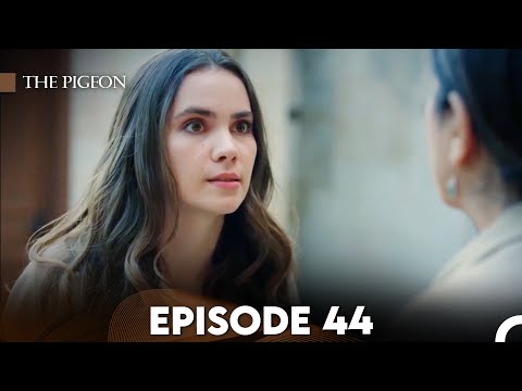 The Pigeon Episode 44 (FULL HD)