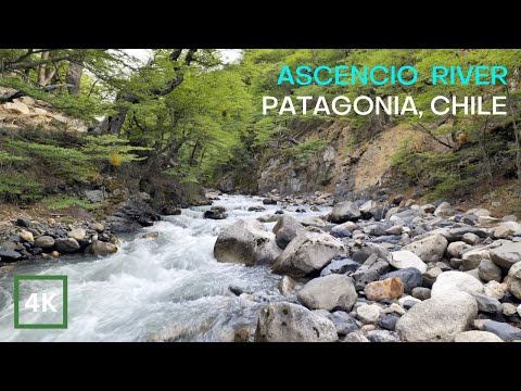 4K Relaxing Sounds of a Glacier River. River Sounds for Sleeping. Ascencio River, Patagonia, Chile.