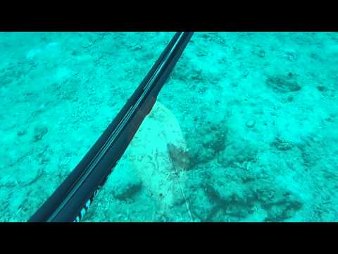 Spearfishing Okinawa