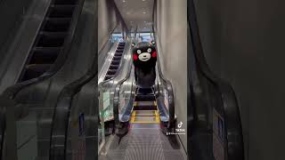 幅ギリギリです😂 #エスカレーター #ギリギリ #くまモン #kumamon #熊本 #kumamoto