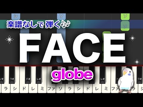 globe 「FACE」　レベル★★★☆☆　初級〜中級