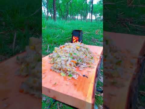 Fried rice cook in forest #forestcooking #cookyourself #solocooking #wilderness #nature #outdoor