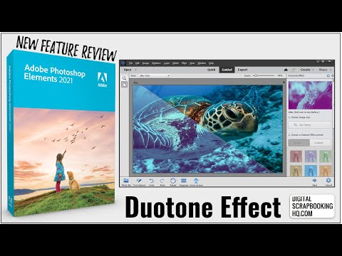 Duotone Effect Guided Edit in Photoshop Elements 2021