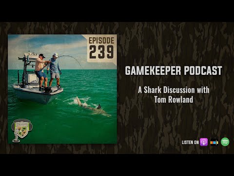 EP:239 | A Shark Discussion with Tom Rowland