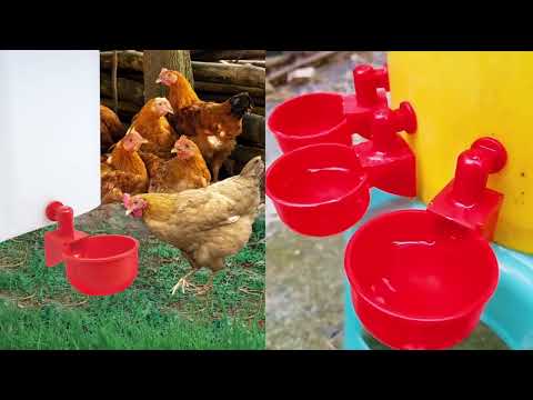 How to install Chicken Waterer Cups