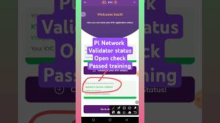 how to check pi validator status #pinetwork #pivalidator #pikyc