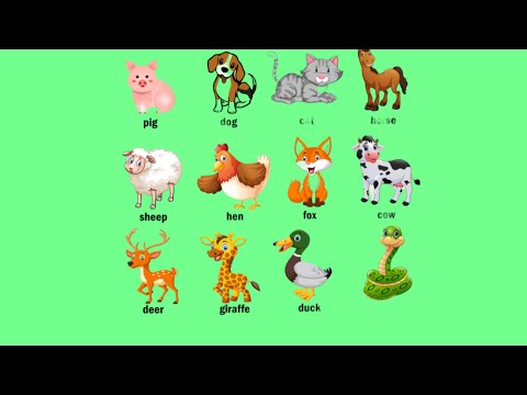 Learn Family Animals: cat, cow, chicken, dog- Farm Animal Sounds