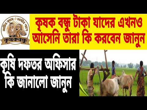 Krishna Bandhu Payment Not Received📌কৃষক বন্ধু টাকা যাদের এখনও আসেনি তারা কি করবেন জানুন